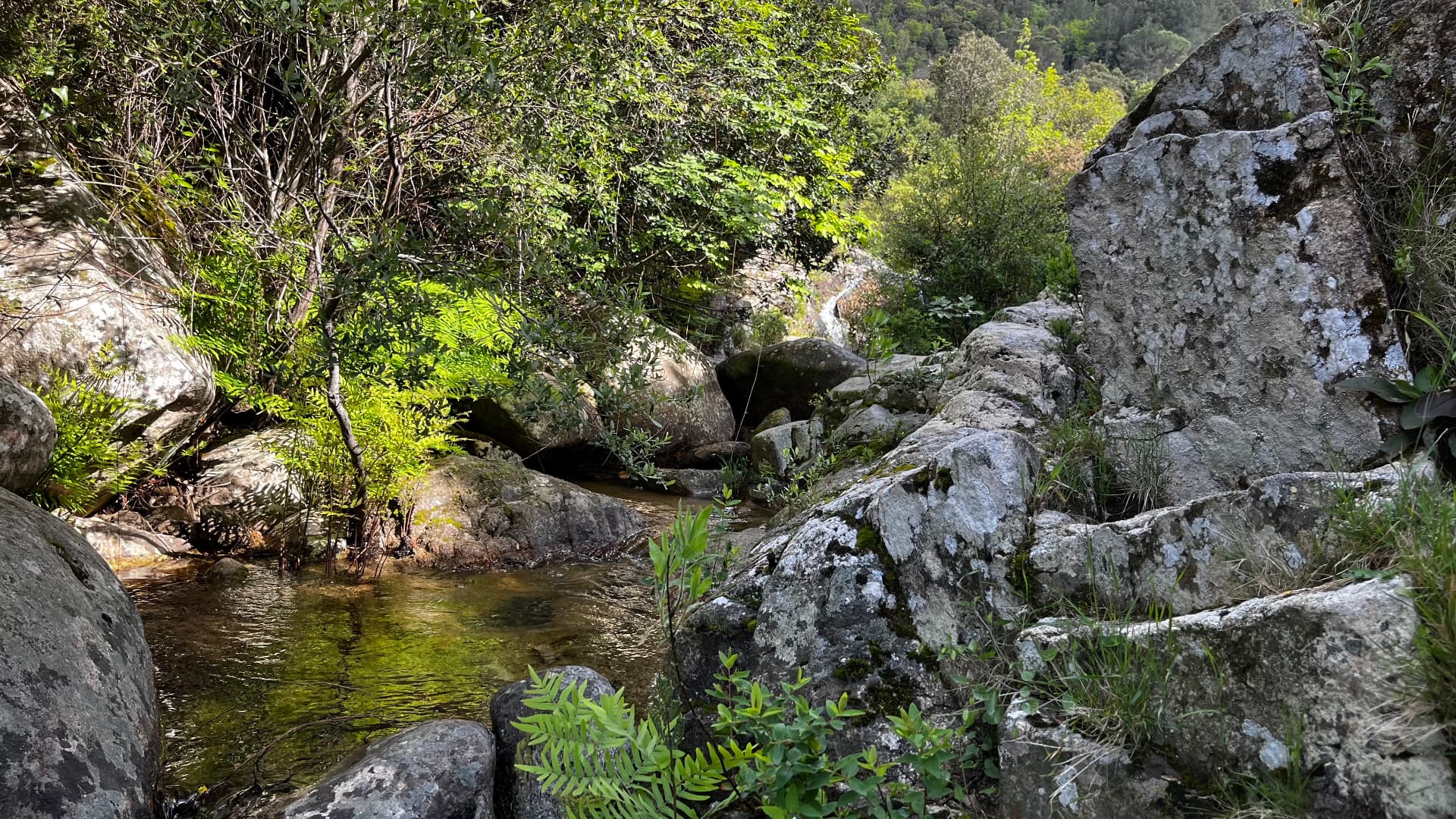 un fiume che scorre tra la vegetazione e le rocce di granito del monte Limbara